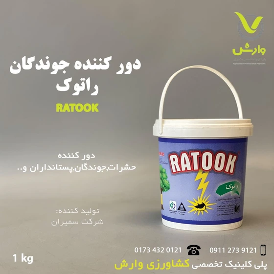 راتوک حشرات